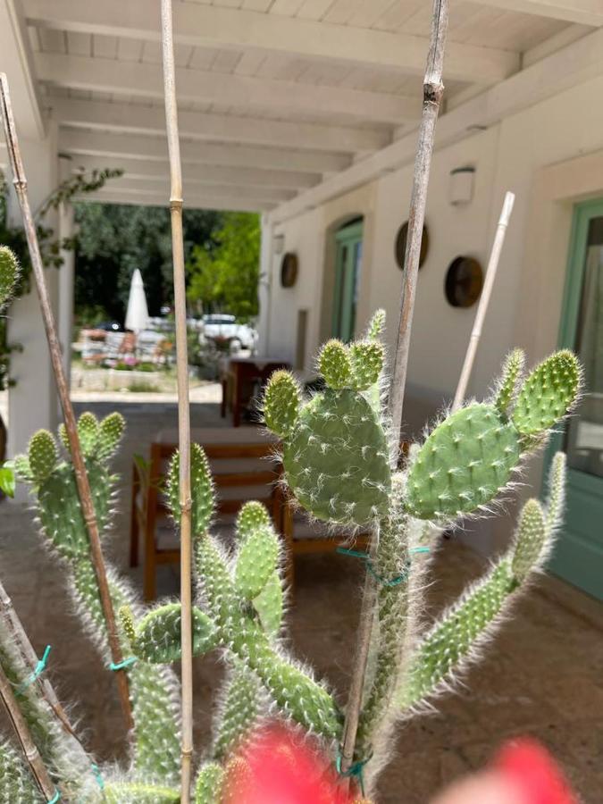 세글리에 메사피카 Il Giardino Degli Antichi Sapori 빌라 외부 사진